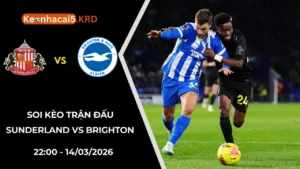 Soi Kèo Trận Bóng Sunderland Vs Brighton | 22:00 - 14/03/2026